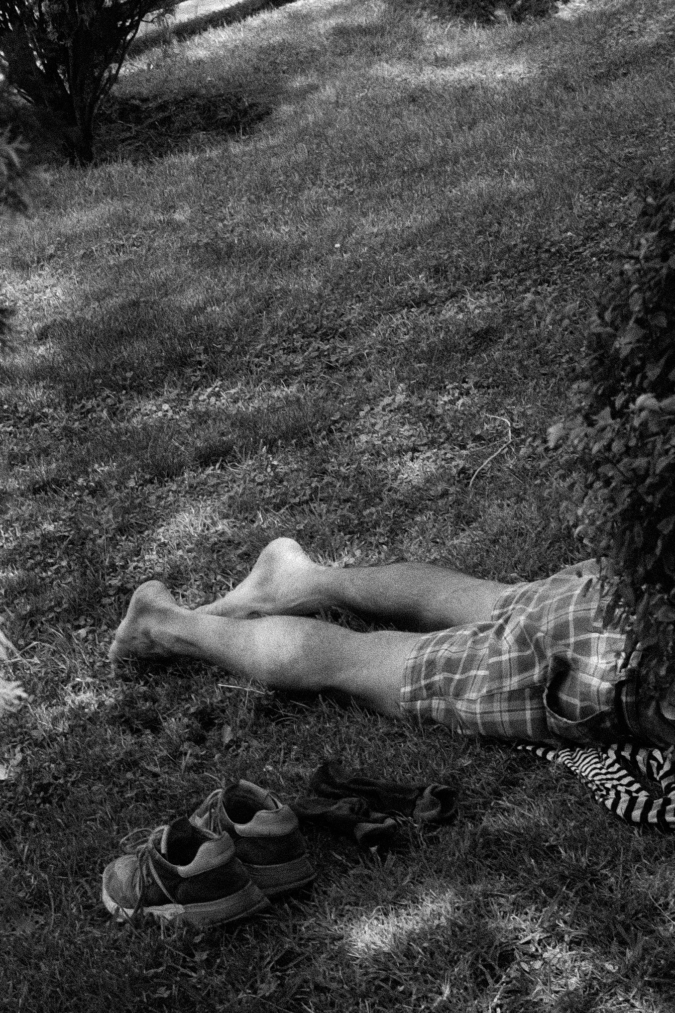 A man lying beneath a bush, with his legs visible and shoes on the grass
